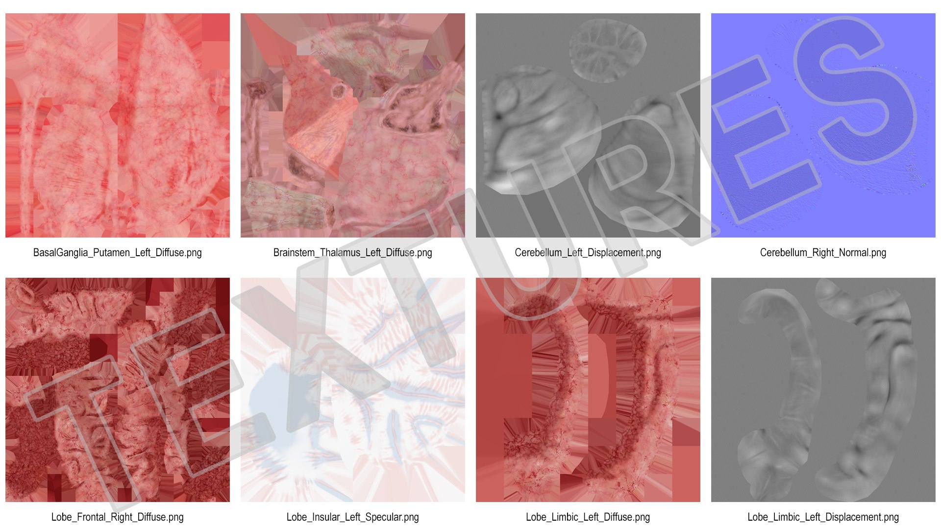 3D human brain anatomy model https://p.turbosquid.com/ts-thumb/Qb/ULSdCL/z6aqDFLr/humanbrainfullanatomymb3dmodel025/jpg/1572746397/1920x1080/fit_q87/fb75f342632883c0a419359aa7ddbf568edaaf5e/humanbrainfullanatomymb3dmodel025.jpg