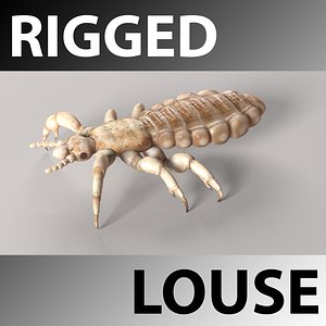 3d model rigged louse