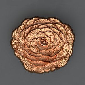 Camellia