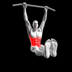 Hanging Leg Raises