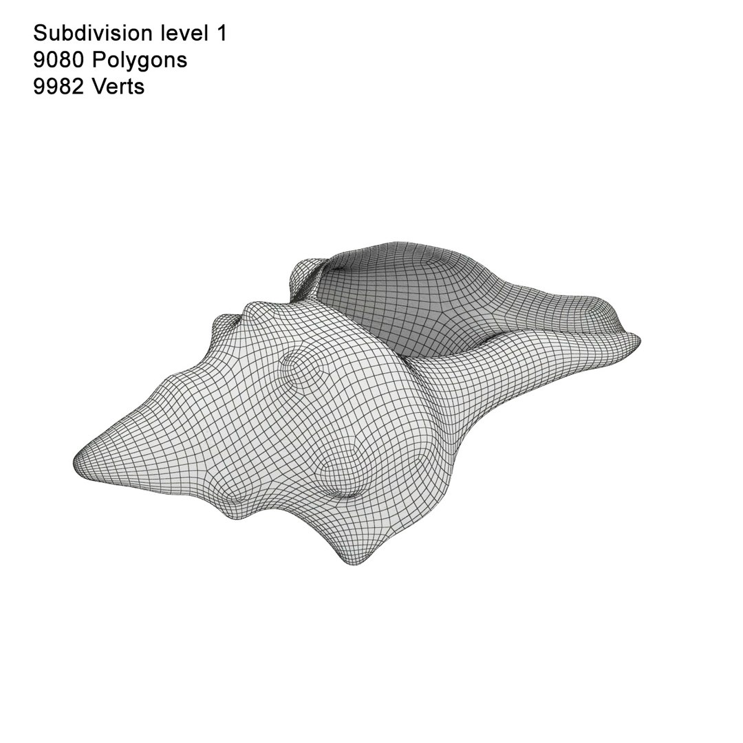 3d Conch Underwater Scanning