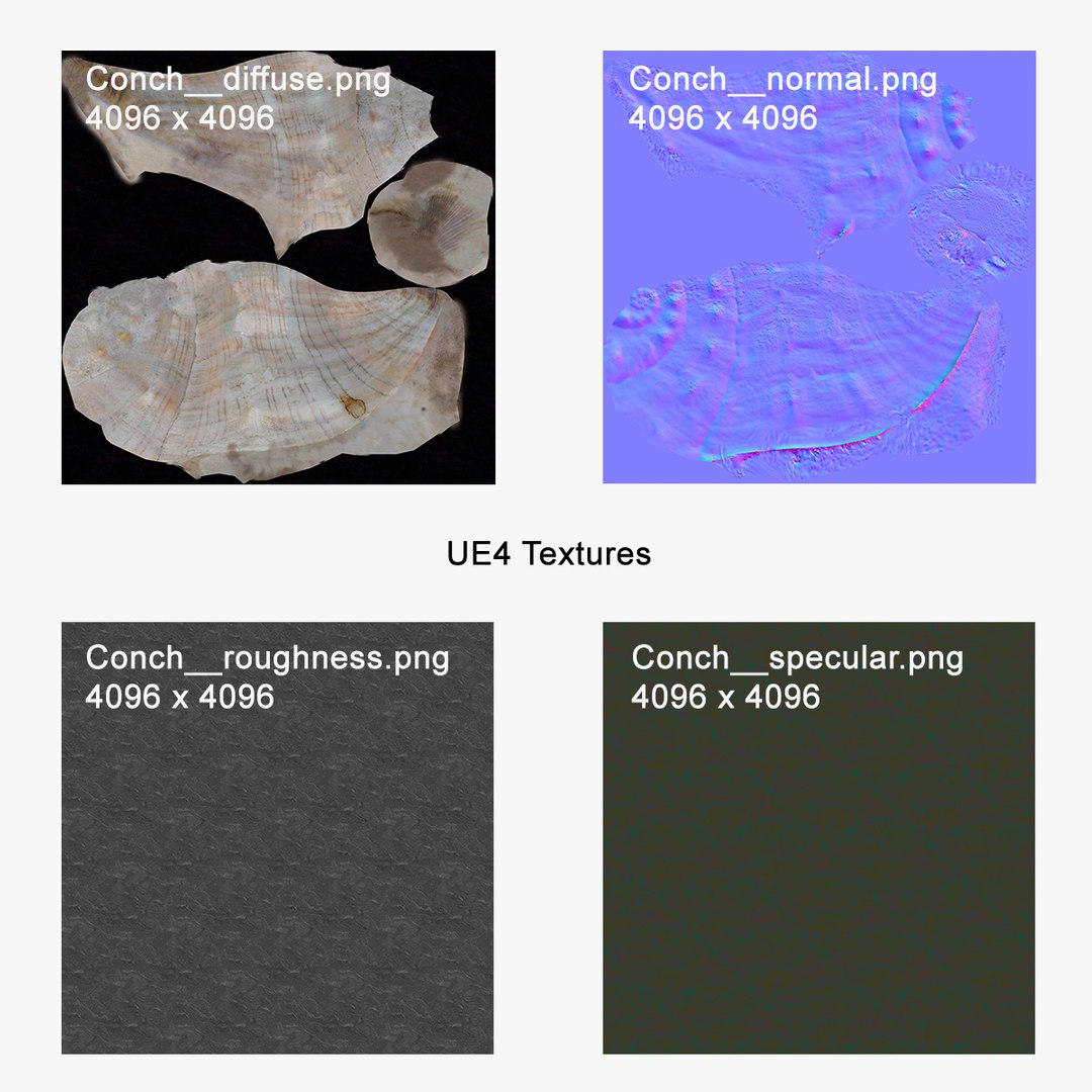 3d Conch Underwater Scanning