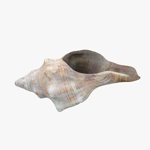 3d conch underwater scanning
