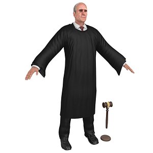 court judge model