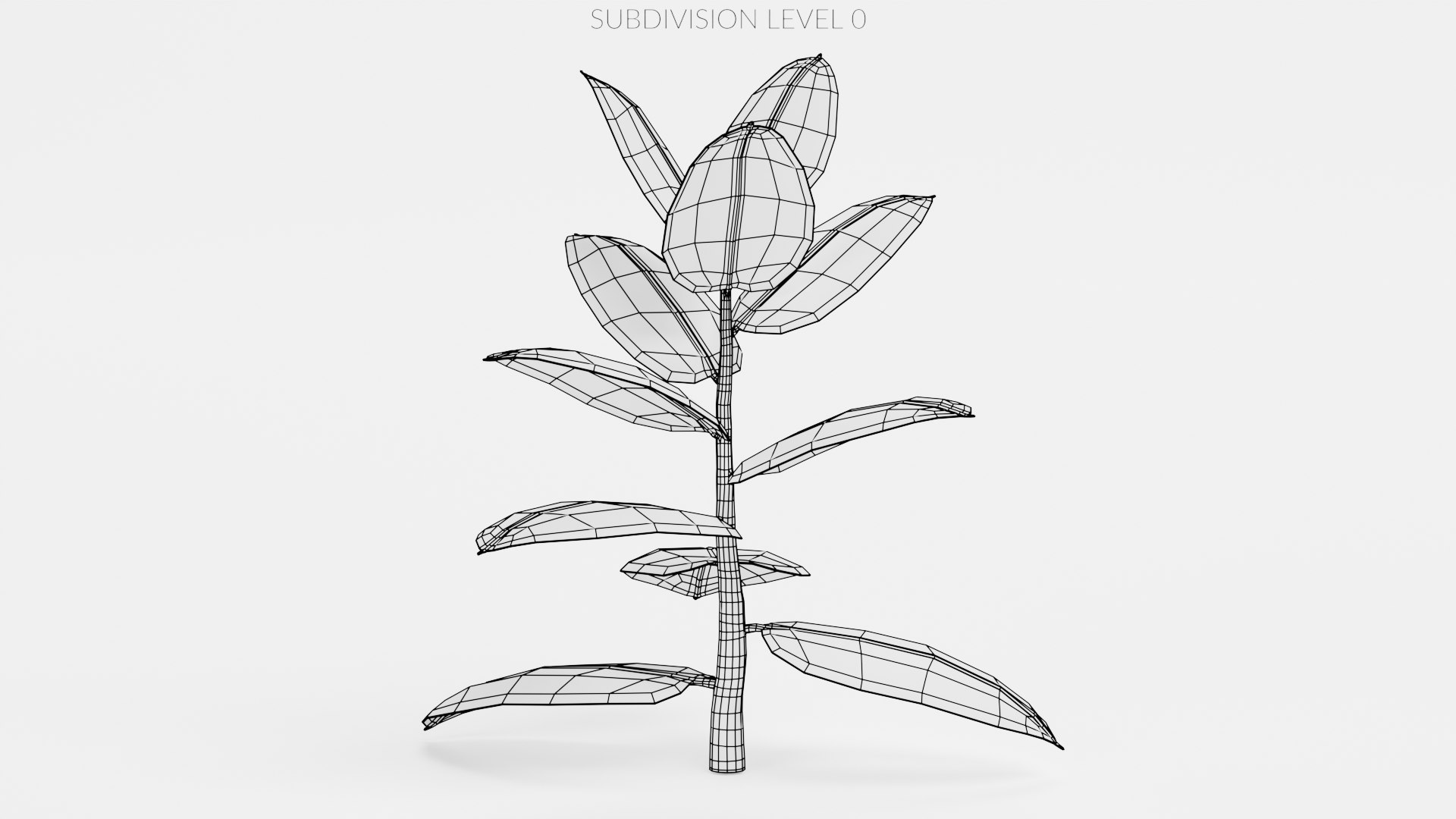 3D Rubber Tree https://p.turbosquid.com/ts-thumb/Qc/1HW6ij/Mq/rubbertreew0/png/1651836318/1920x1080/fit_q87/59c3da31ff04a296250fa6f6b423e134078c7b77/rubbertreew0.jpg