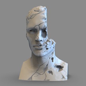 Broken Bust 3D model