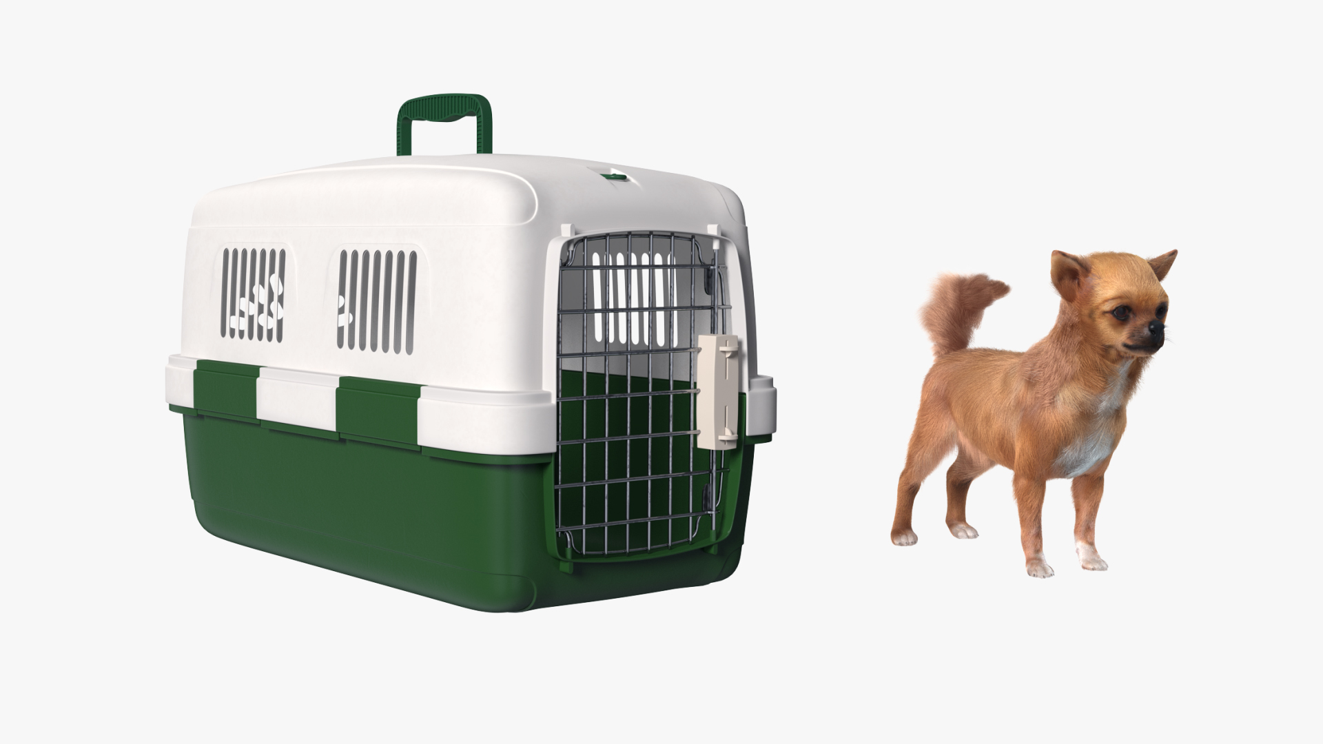 Chihuahua pet carrier sales