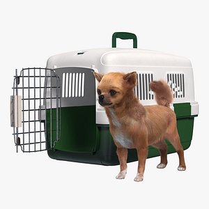 Chihuahua in the Pet Carrier with Fur