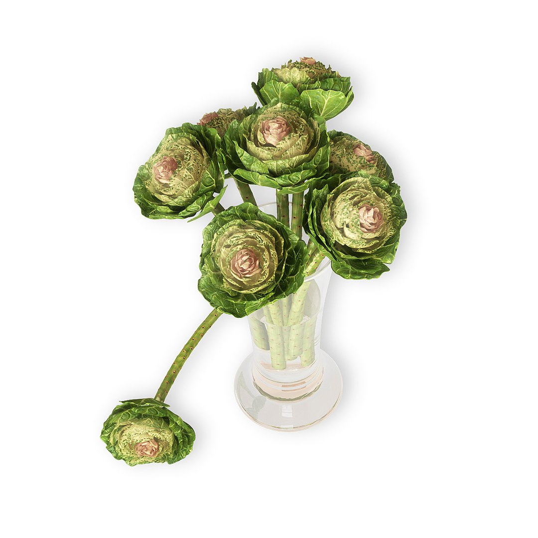 3d decorative brassica https://p.turbosquid.com/ts-thumb/Qc/QPMn3a/gC39Qmm4/brassica_10002/jpg/1475674439/1920x1080/fit_q87/b955e6d65da0e0852277d9d022177072a71d9baa/brassica_10002.jpg