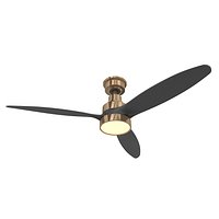 Canarm ceiling fan