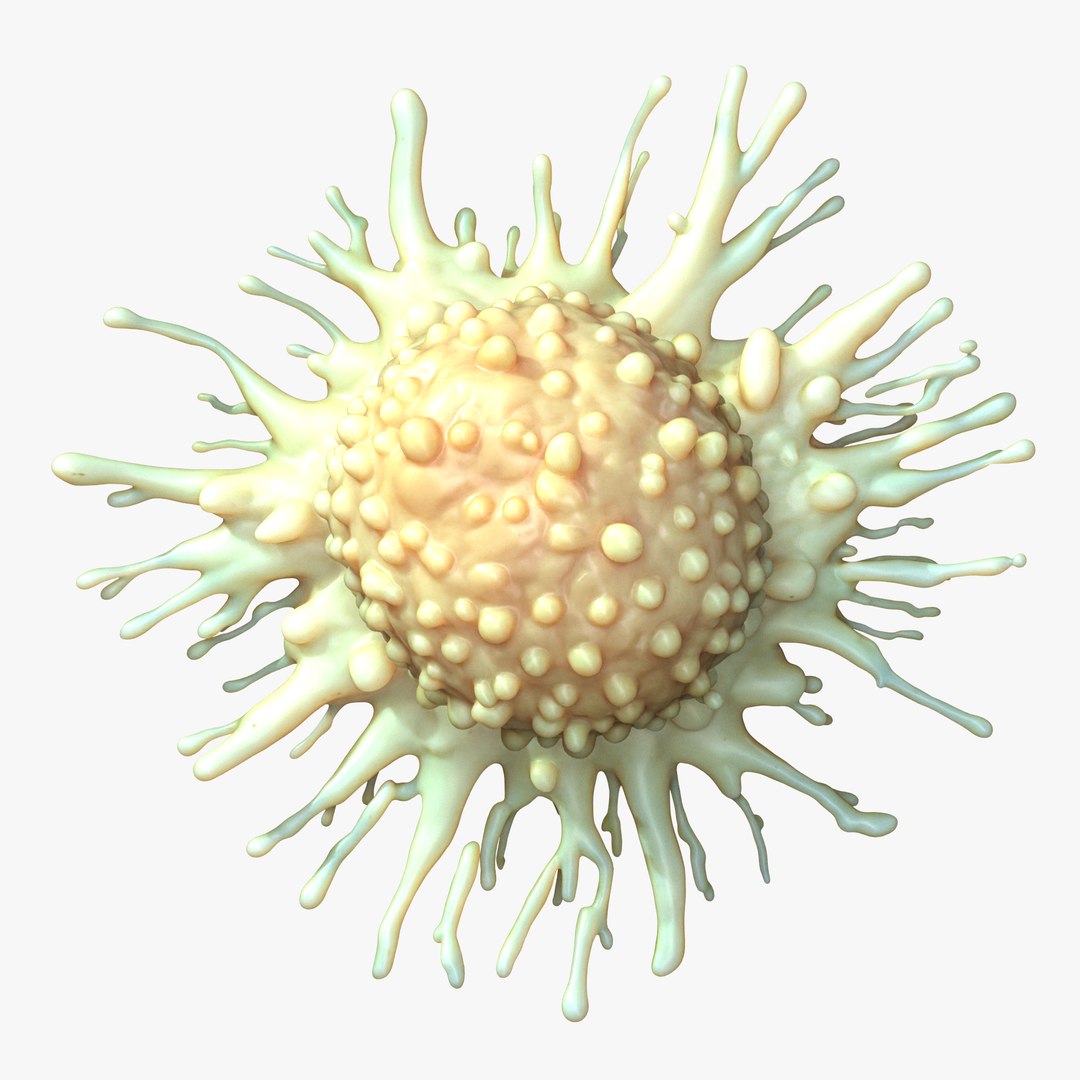 Cancer Cell Tumor model https://p.turbosquid.com/ts-thumb/Qc/blDMgB/7x/4/png/1746461056/1920x1080/fit_q87/0a3efe9c1e1d3a3895b94d9fea0f880018b5a228/4.jpg