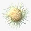 Tumor de células cancerosas