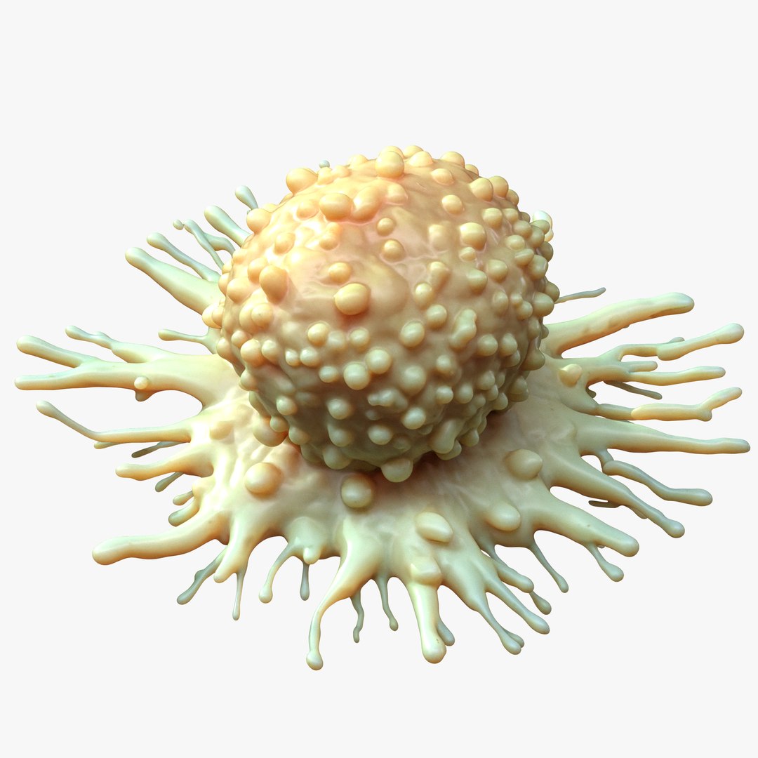 Cancer Cell Tumor model https://p.turbosquid.com/ts-thumb/Qc/blDMgB/84/6/png/1746461058/1920x1080/fit_q87/382398e740907b6eee98d99f4c346d80fa217582/6.jpg