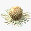 Tumor de células cancerosas