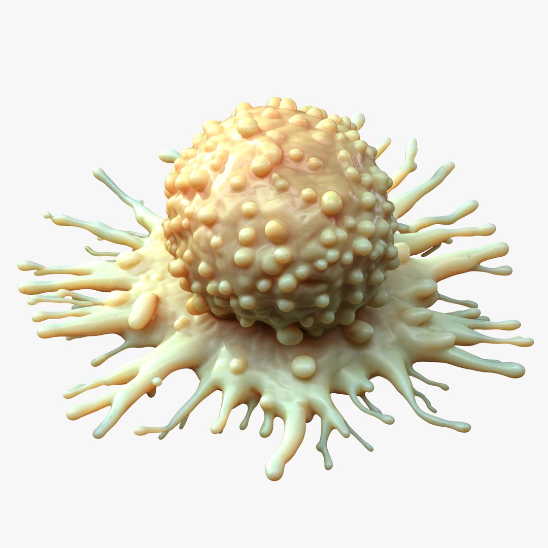 Cancer Cell Tumor model https://p.turbosquid.com/ts-thumb/Qc/blDMgB/Ca/5/png/1746461058/1920x1080/fit_q87/20b3d7a5a4478bf422ecdf99befc61908992f48d/5.jpg