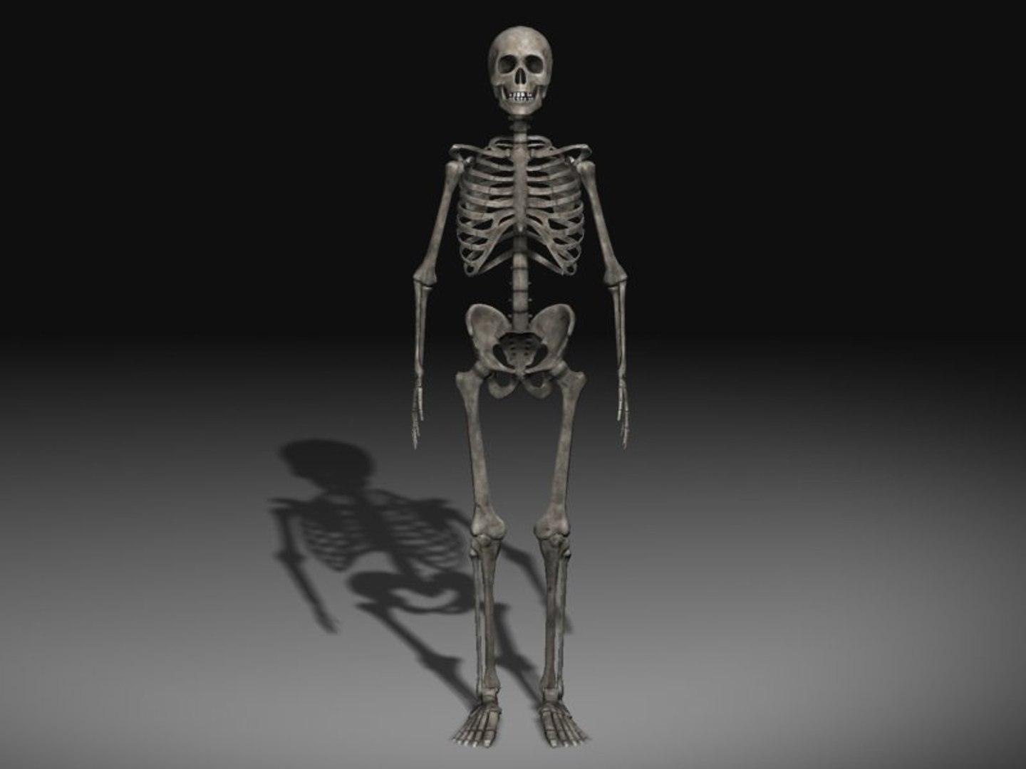 human skeleton 3d model https://p.turbosquid.com/ts-thumb/Qc/du4Lty/b2I7m200/scr09/jpg/1298223541/1920x1080/fit_q87/ceeca90a729d1cfd5eed21a616ddfc84dbc9c50c/scr09.jpg