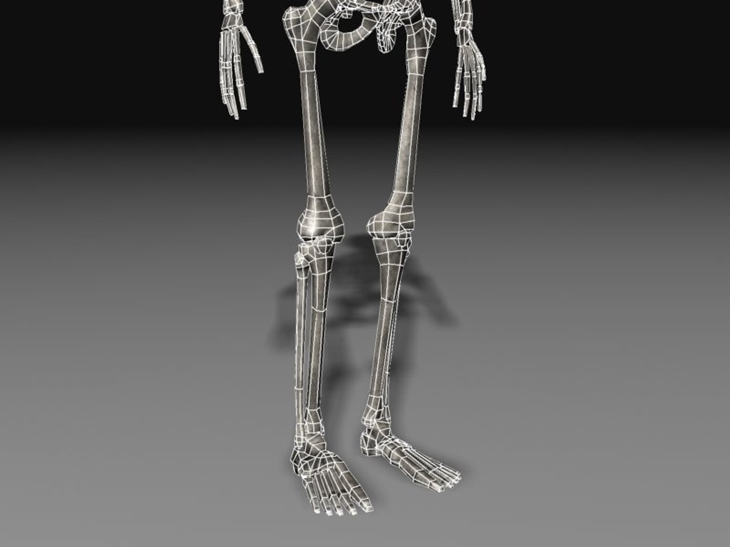 human skeleton 3d model https://p.turbosquid.com/ts-thumb/Qc/du4Lty/dCxkn1dw/scr05_wire/jpg/1298223541/1920x1080/fit_q87/b2d181d9fa33efaf65e6fc649db2307b676df7af/scr05_wire.jpg