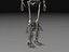 Human Skeleton 4