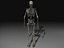 Human Skeleton 4