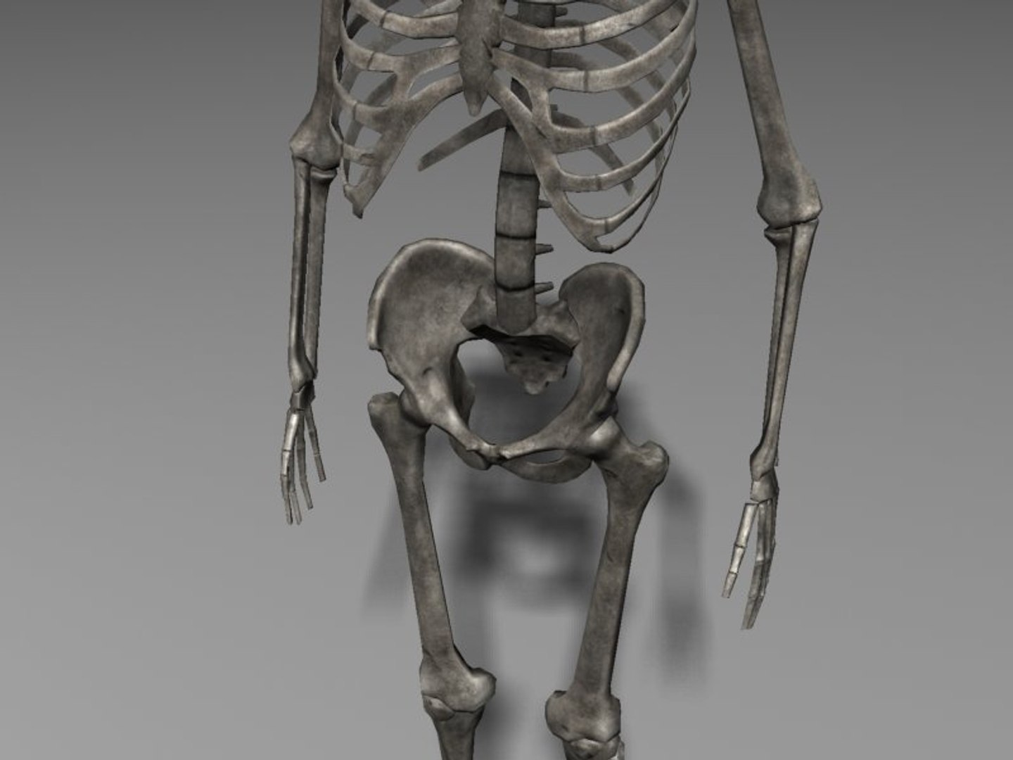 human skeleton 3d model https://p.turbosquid.com/ts-thumb/Qc/du4Lty/qh8wfbAT/scr04/jpg/1298223541/1920x1080/fit_q87/56dd56b1587e7d4c4ea3d109d0dd1b9fc4a6f6ad/scr04.jpg