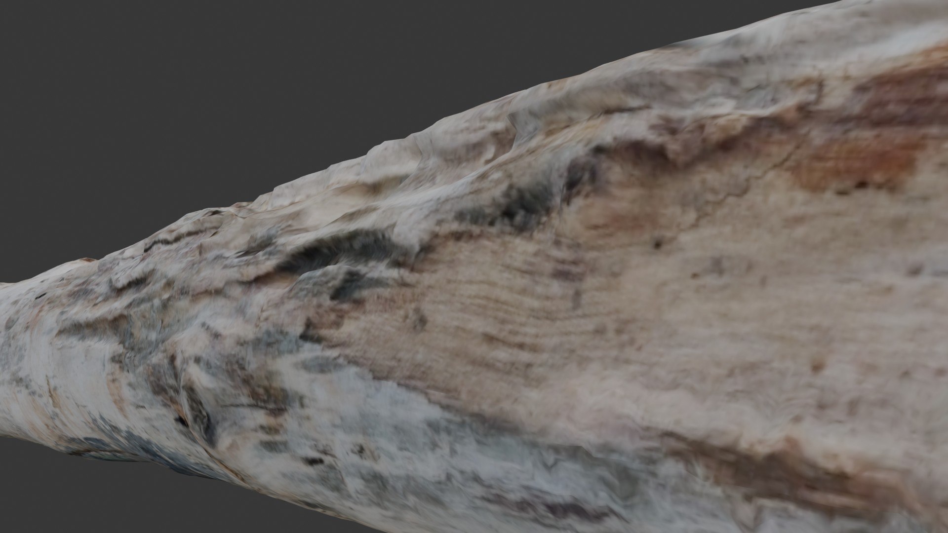 3D Bleached Driftwood Log Scan - TurboSquid 2472457
