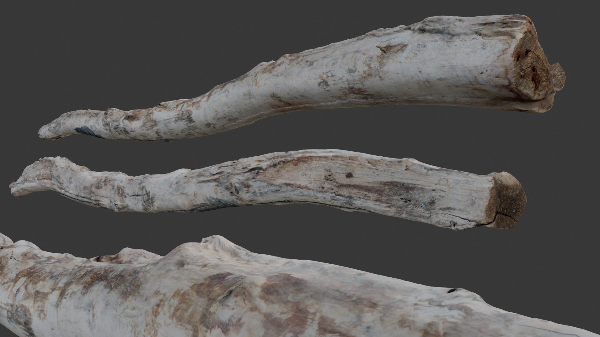 3D Bleached Driftwood Log Scan - TurboSquid 2472457
