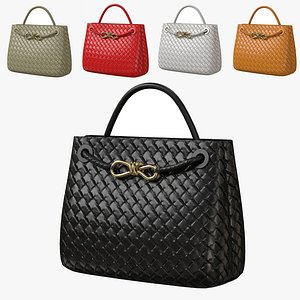 Bottega Veneta Andiamo Bag 3D model