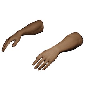 Male Hands Rigged 3D model