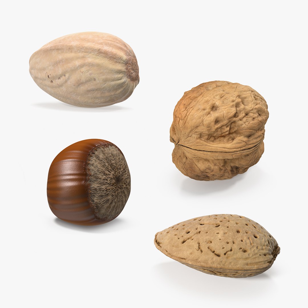 Nuts Collection 3 3D model preview