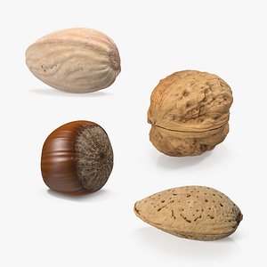 3D nuts 3 model