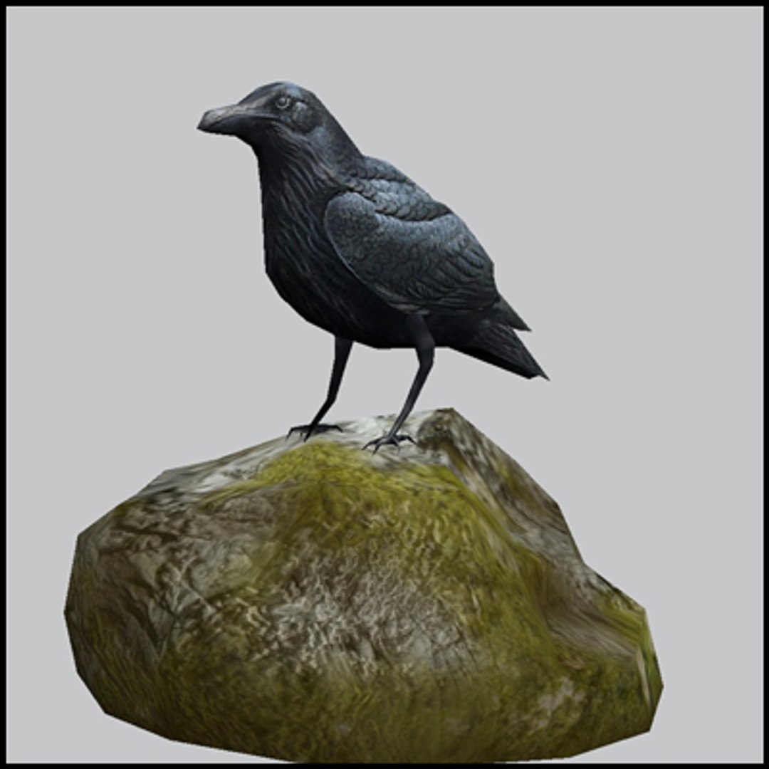 maya raven crow https://p.turbosquid.com/ts-thumb/Qd/8JWyc4/UDshJDD0/r1/jpg/1264084671/1920x1080/fit_q87/1236cfcf2670d9d9a962a64575e95360b19adcaf/r1.jpg