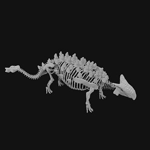 3D model Ankylosaurus skeleton