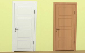 Door-5