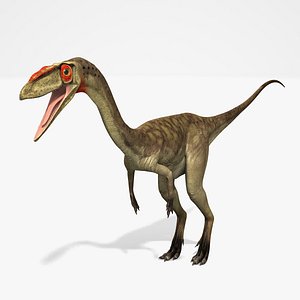 Coelophysis