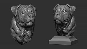 3D Rottweiler bust dog model