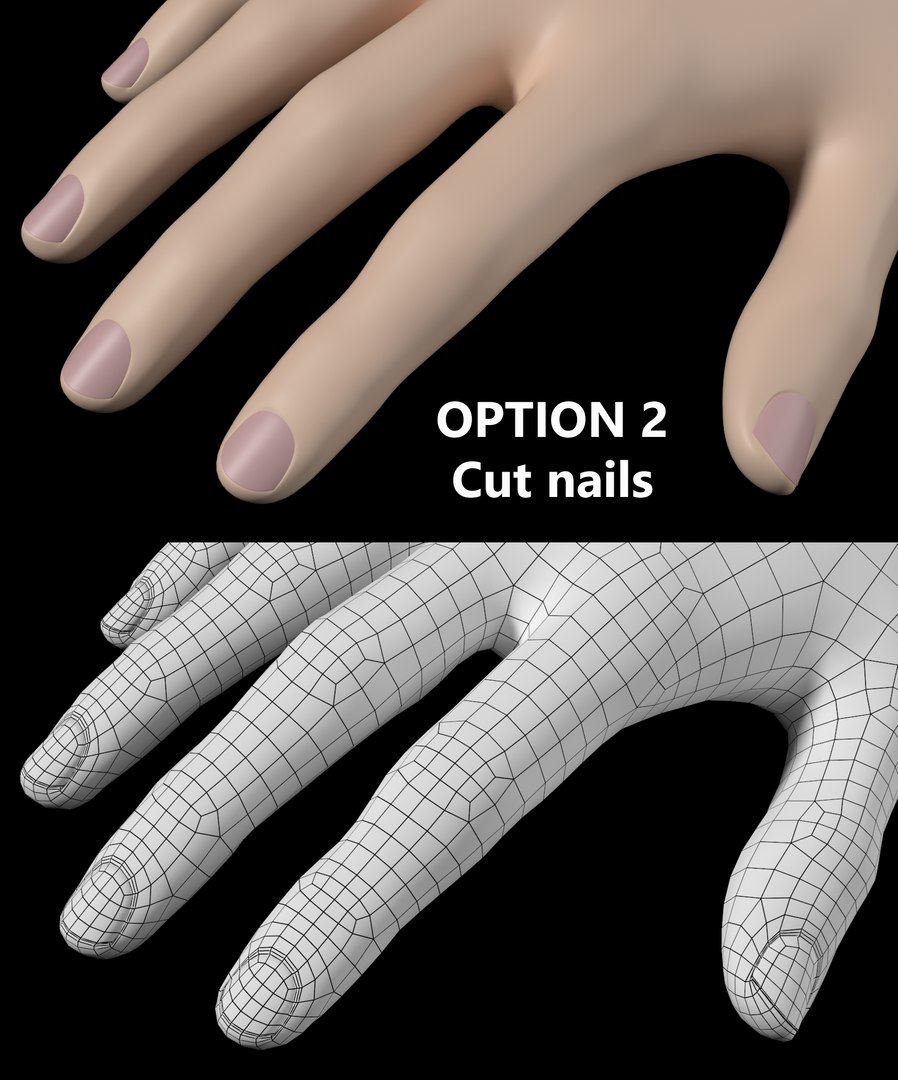 Female Hands Gesture 03 Base Mesh 3D model https://p.turbosquid.com/ts-thumb/Qd/juOag4/Gv/18/png/1704981018/1920x1080/fit_q87/405143aaac3ee517e208953cc53a727acf2a3db6/18.jpg