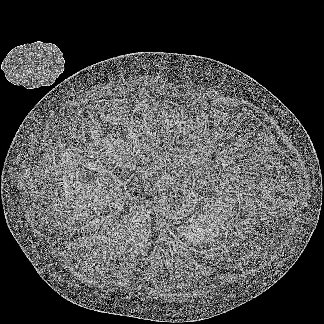 Fungus Fossil 11 model https://p.turbosquid.com/ts-thumb/Qd/lMJ5Fq/J0/3_fungusfossil11_uv/jpg/1730247778/1920x1080/fit_q87/93fb3c38198472f6dbb5a949ecbb4700a495a0f0/3_fungusfossil11_uv.jpg