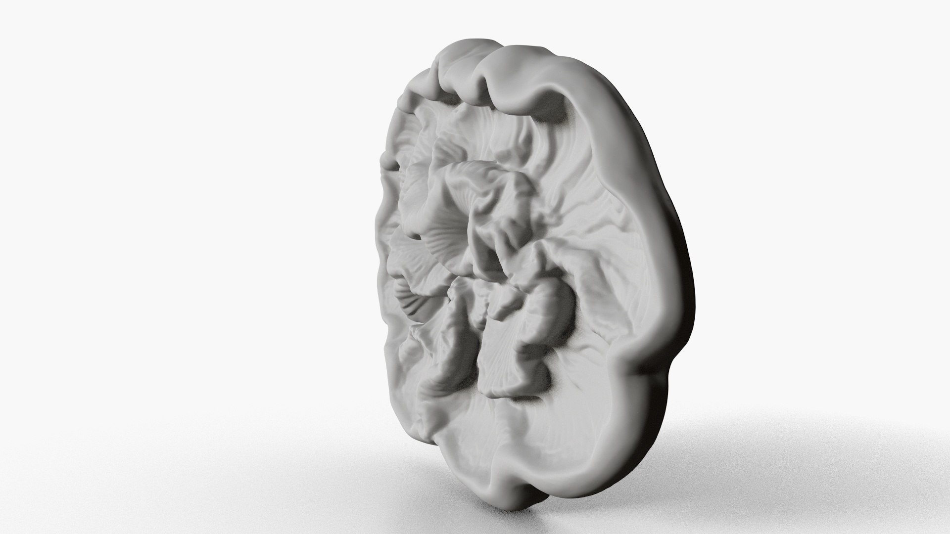 Fungus Fossil 11 model https://p.turbosquid.com/ts-thumb/Qd/lMJ5Fq/U2/2_fungusfossil11_fullquality_00007/jpg/1730247766/1920x1080/fit_q87/7fe5c161fb8ec0f3b5e96e4380d3b8d7c8757c18/2_fungusfossil11_fullquality_00007.jpg
