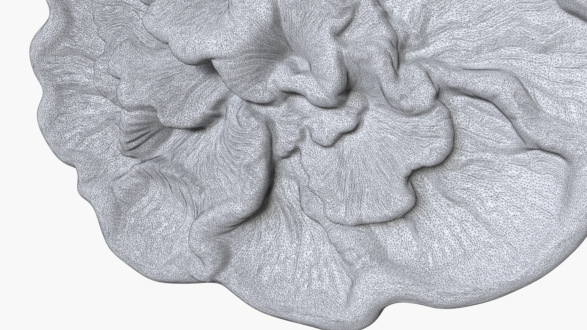 Fungus Fossil 11 model https://p.turbosquid.com/ts-thumb/Qd/lMJ5Fq/iZ/4_fungusfossil11_wire_03/jpg/1730247790/1920x1080/fit_q87/84b01b1ce7fac92e4105c1cdbb565cfaccf31541/4_fungusfossil11_wire_03.jpg