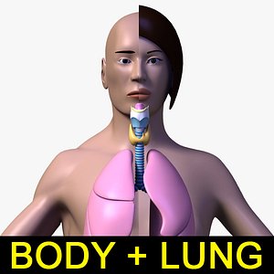 Human Body With Respiratory system