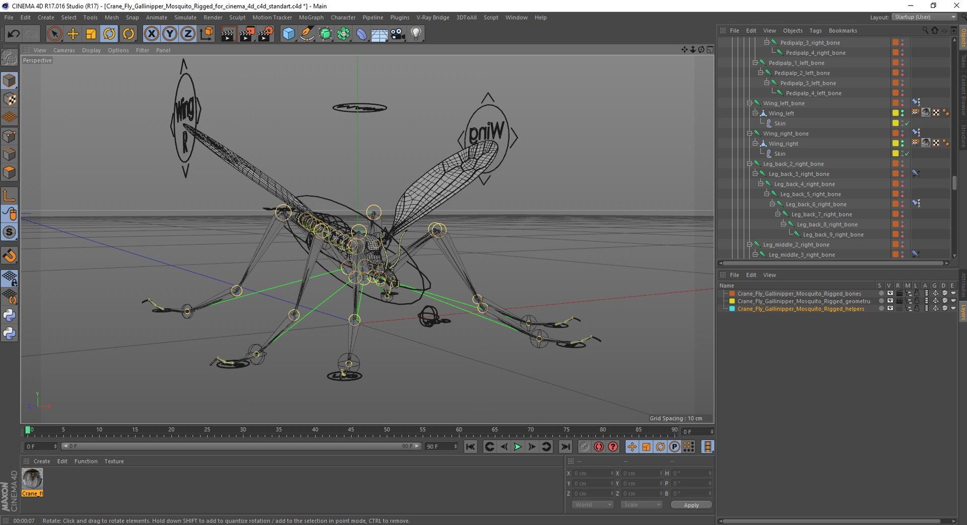 3D Crane Fly Gallinipper Mosquito Rigged for Cinema 4D https://p.turbosquid.com/ts-thumb/Qd/zfJ73X/82/craneflygallinippermosquitoriggedforcinema4dc4dmodel058/jpg/1724920278/1920x1080/fit_q87/73fa2c09800aa613520f839bdeaad703bb389324/craneflygallinippermosquitoriggedforcinema4dc4dmodel058.jpg