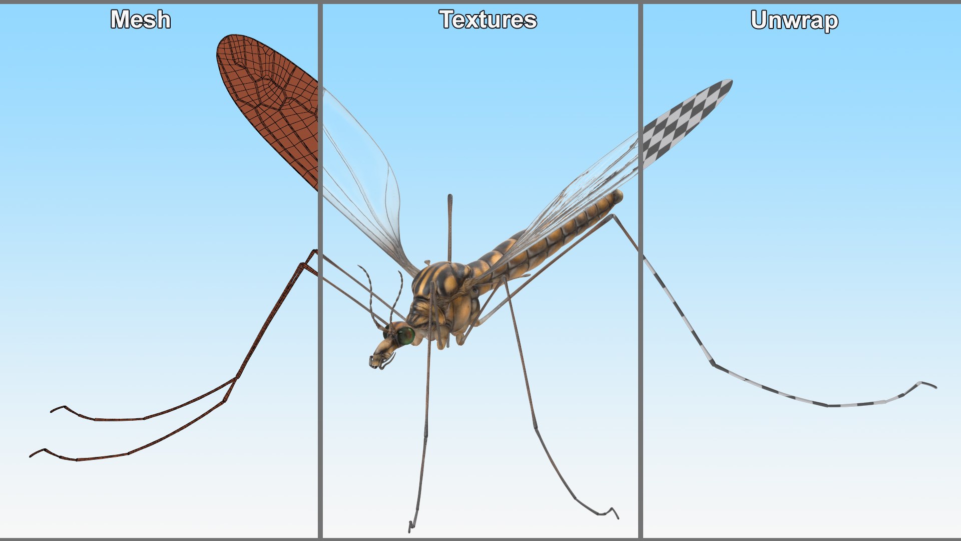 3D Crane Fly Gallinipper Mosquito Rigged for Cinema 4D https://p.turbosquid.com/ts-thumb/Qd/zfJ73X/9k/craneflygallinippermosquitoriggedforcinema4dc4dmodel035/jpg/1724920195/1920x1080/fit_q87/6bb6653d3aa3ac115949822d5231333869a77e33/craneflygallinippermosquitoriggedforcinema4dc4dmodel035.jpg