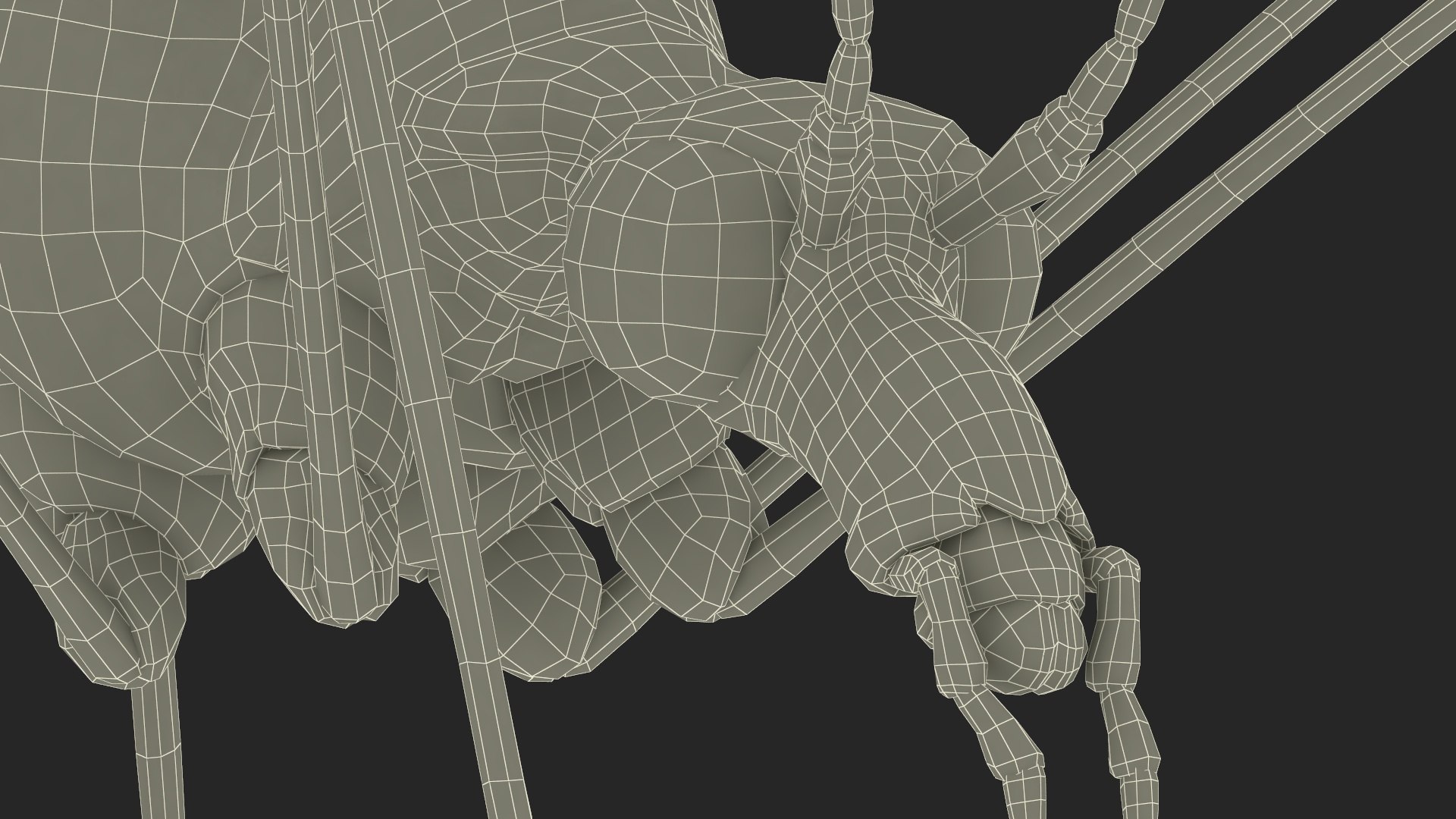 3D Crane Fly Gallinipper Mosquito Rigged for Cinema 4D https://p.turbosquid.com/ts-thumb/Qd/zfJ73X/US/craneflygallinippermosquitoriggedforcinema4dc4dmodel049/jpg/1724920245/1920x1080/fit_q87/25ed93a512eda1e157535c7daeb36b9c2df467f2/craneflygallinippermosquitoriggedforcinema4dc4dmodel049.jpg