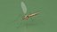 3D Crane Fly Gallinipper Mosquito Rigged for Cinema 4D