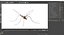 3D Crane Fly Gallinipper Mosquito Rigged for Cinema 4D