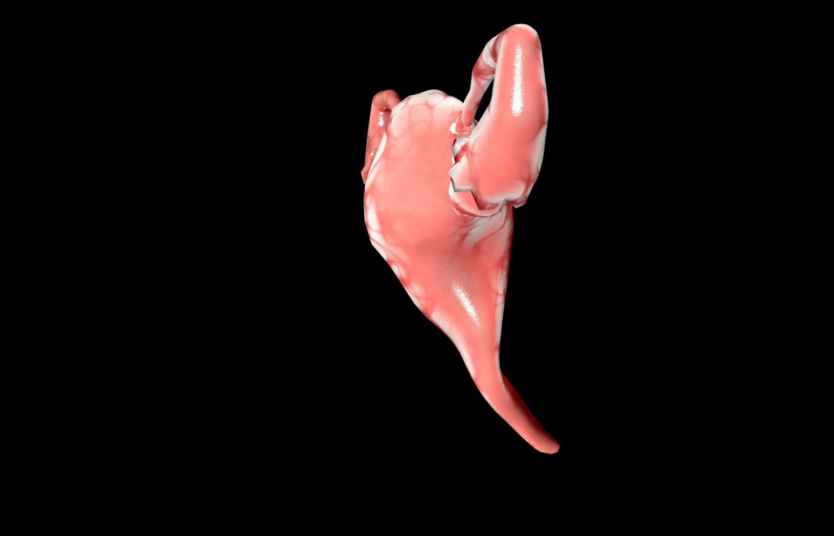 c4d uterus female anatomy reproductive https://p.turbosquid.com/ts-thumb/Qe/3RprAh/Kfv9gP9j/frs0014/jpg/1376240759/1920x1080/fit_q87/46c52a98ed445991fee3de0dd4e2044232ffb9b0/frs0014.jpg