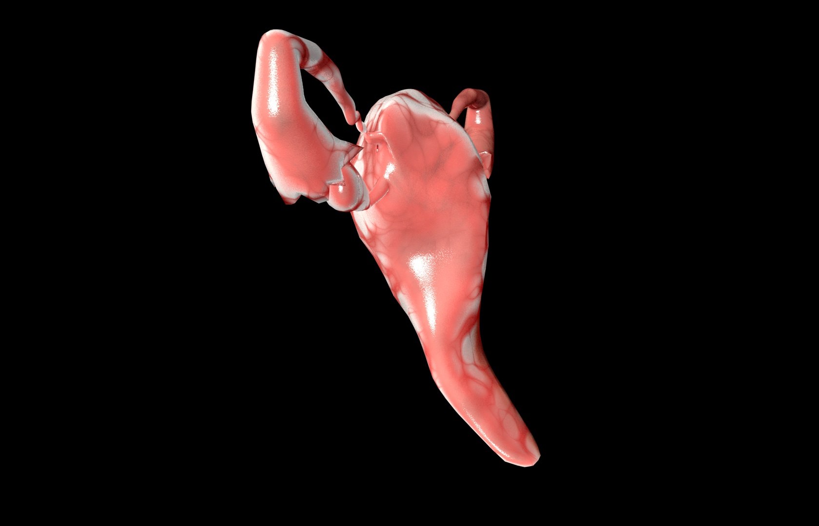 c4d uterus female anatomy reproductive https://p.turbosquid.com/ts-thumb/Qe/3RprAh/NCZfxrXz/frs0011/jpg/1376240759/1920x1080/fit_q87/db18a2ac68f8a61a07c5eca50f69c5552af46f71/frs0011.jpg