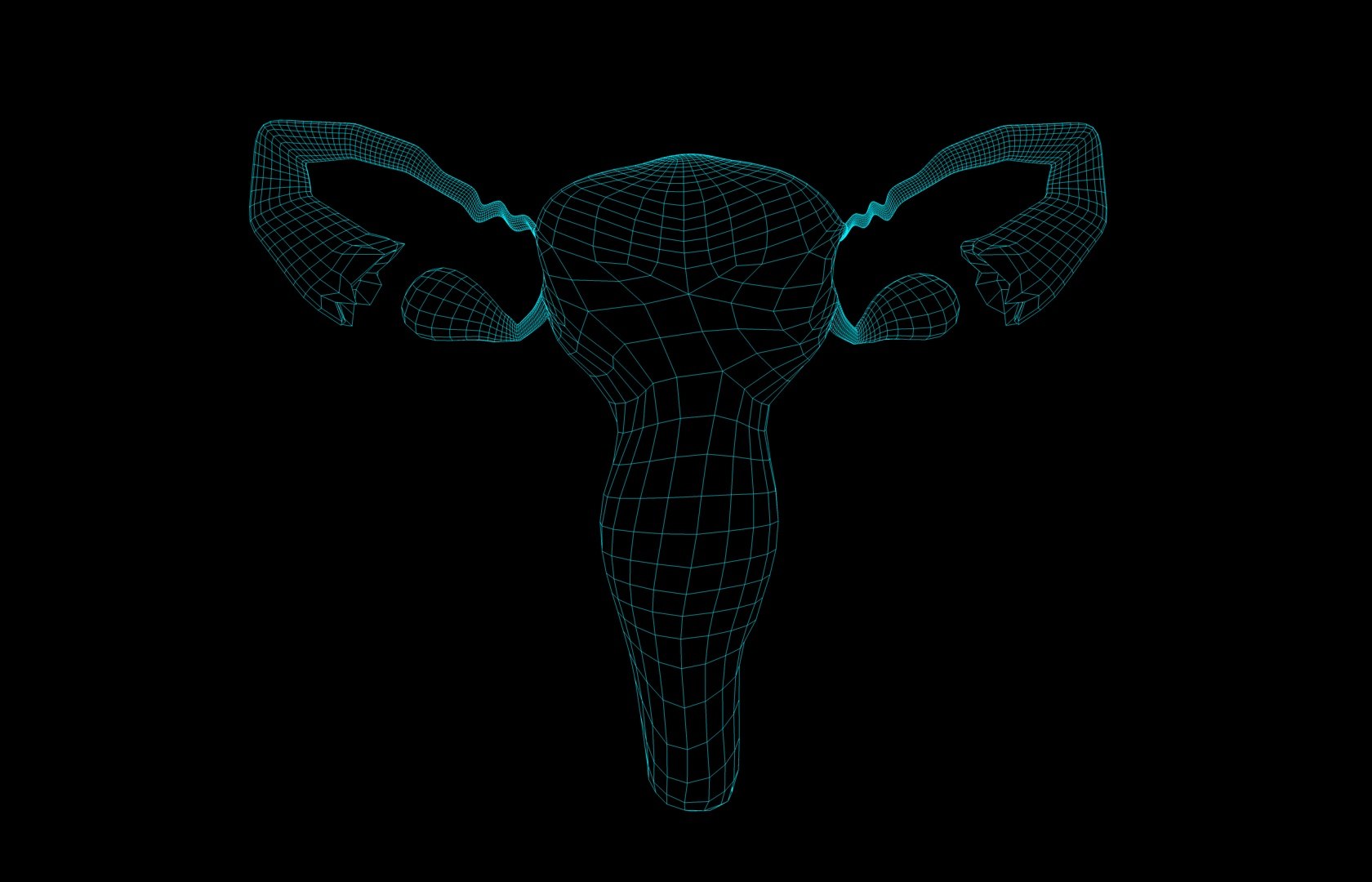 c4d uterus female anatomy reproductive https://p.turbosquid.com/ts-thumb/Qe/3RprAh/QfduqfBD/frscel/jpg/1376240789/1920x1080/fit_q87/349e97a20dec340535b473bc8a8e6bf20812fe22/frscel.jpg