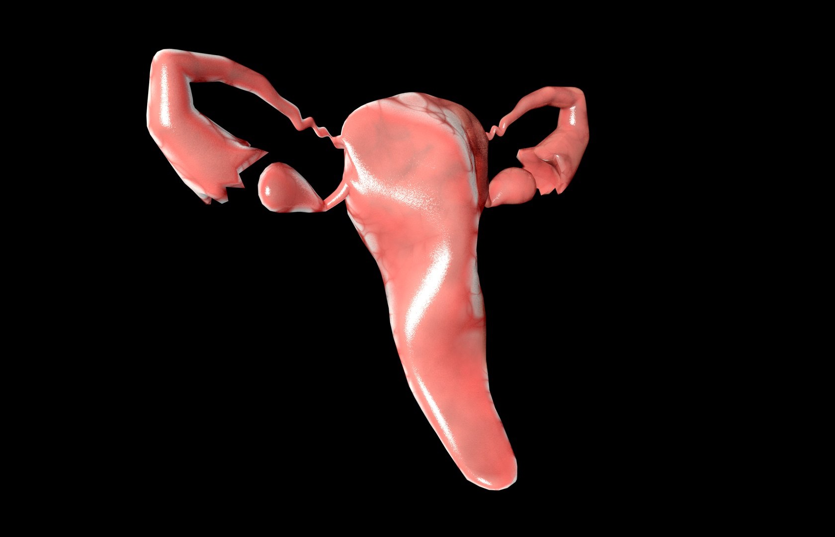 c4d uterus female anatomy reproductive https://p.turbosquid.com/ts-thumb/Qe/3RprAh/YkA3uAKw/frs0008/jpg/1376240759/1920x1080/fit_q87/6962830100fadfd984b809bec8d66759ade15fd4/frs0008.jpg