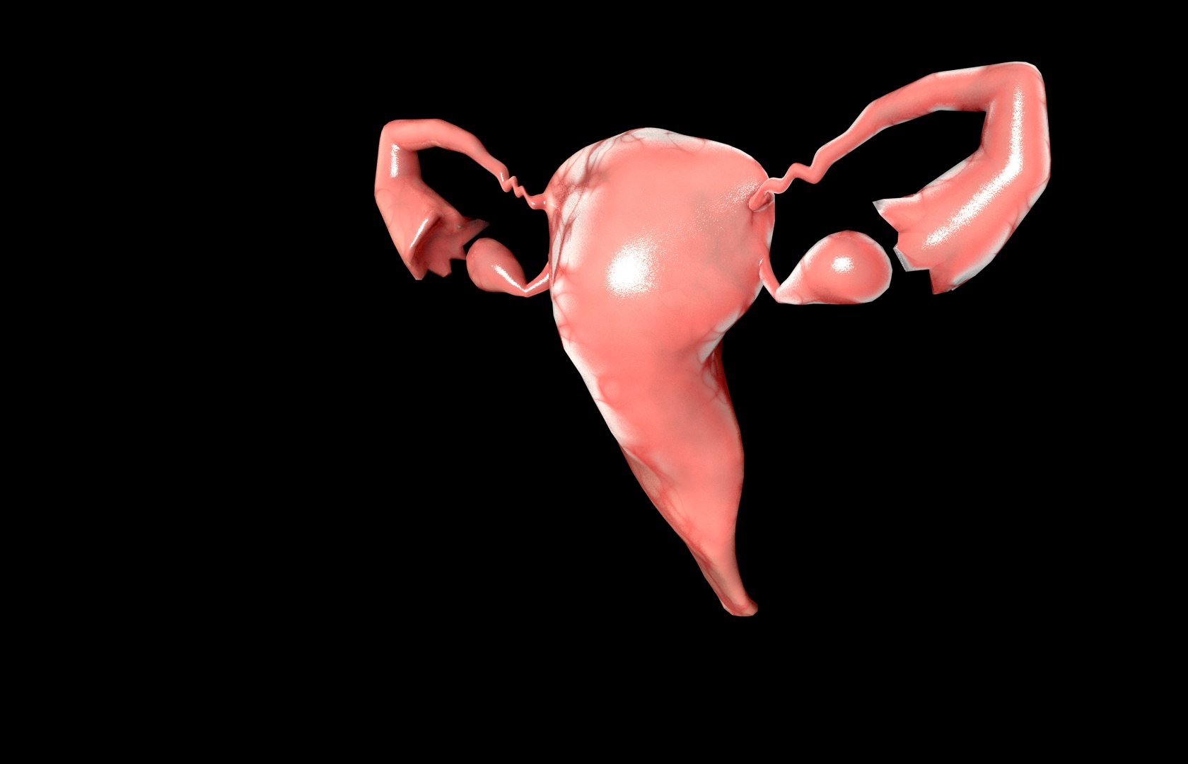 c4d uterus female anatomy reproductive https://p.turbosquid.com/ts-thumb/Qe/3RprAh/ekEMjOdf/frs0017/jpg/1376240759/1920x1080/fit_q87/d4710567553db41650809576b421f27bcbd308d0/frs0017.jpg
